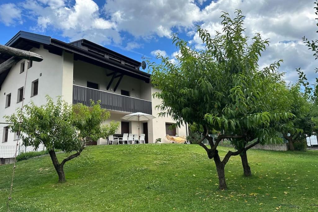 Haus Hafner Sonniges Apartment Terlan Zewnętrze zdjęcie
